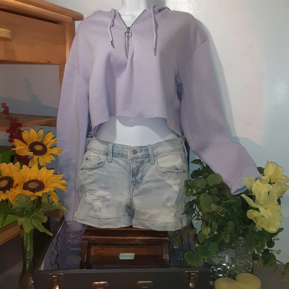 AMP Cropped Hooded Sweatshirt Bundle 2/$35
